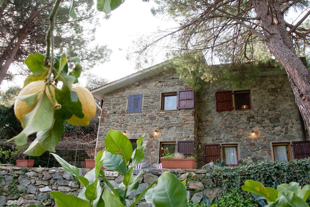 Ferienwohnung Due Pini Corniglia Exterior foto