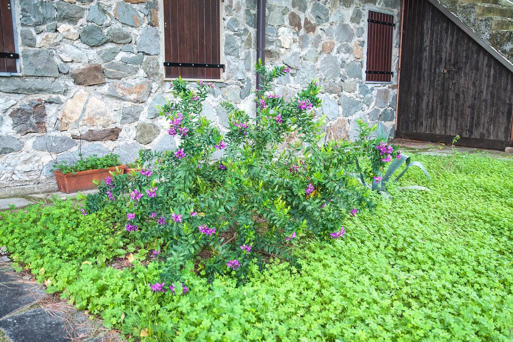Ferienwohnung Due Pini Corniglia Exterior foto