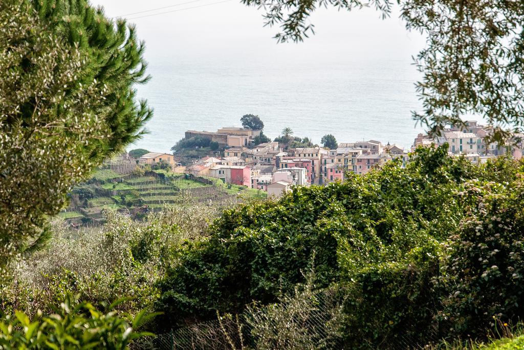 Ferienwohnung Due Pini Corniglia Exterior foto